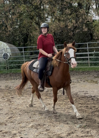 HorseID: 2318751 Todd - PhotoID: 1105937