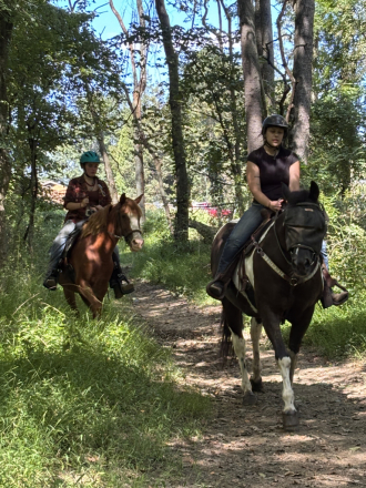 HorseID: 2318751 Todd - PhotoID: 1105938