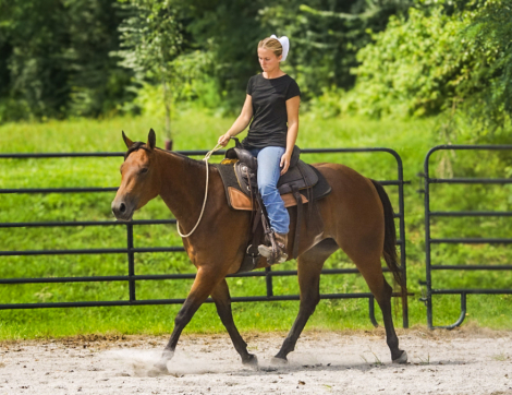 HorseID: 2318803 Rosie’s sweet jag - PhotoID: 1106001
