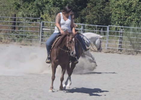 HorseID: 2318827 CR Shiny Cowgrl Rock - PhotoID: 1106019