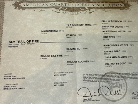 HorseID: 2318830 SLV Trail of Fire - PhotoID: 1106030