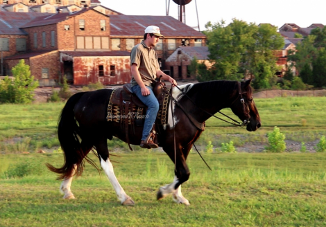 HorseID: 2318843 Tux - PhotoID: 1106040