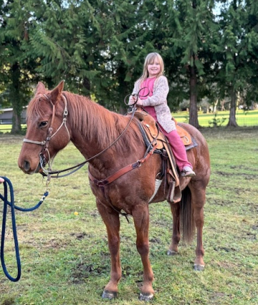 HorseID: 2318872 Rojo - PhotoID: 1106074