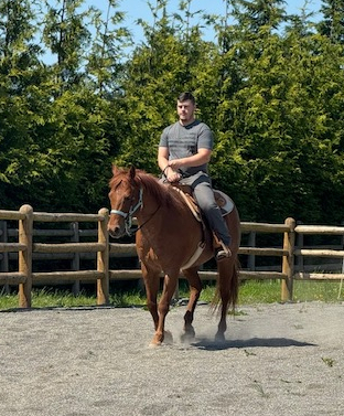 HorseID: 2318872 Rojo - PhotoID: 1106075