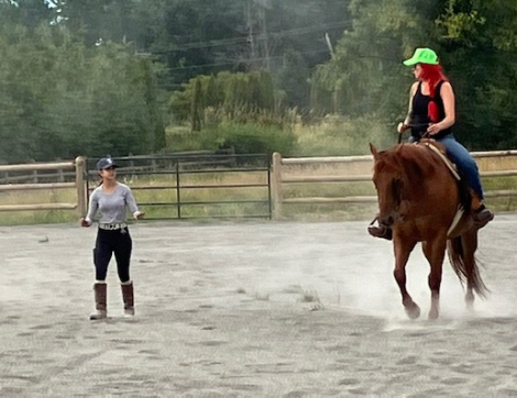 HorseID: 2318872 Rojo - PhotoID: 1106076