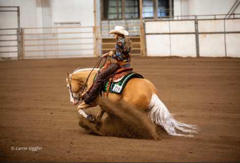 HorseID: 2318887 ICR PALE DIAMOND - PhotoID: 1106082
