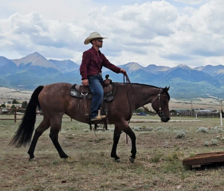HorseID: 2318916 ROWDY RIPONE - PhotoID: 1106118