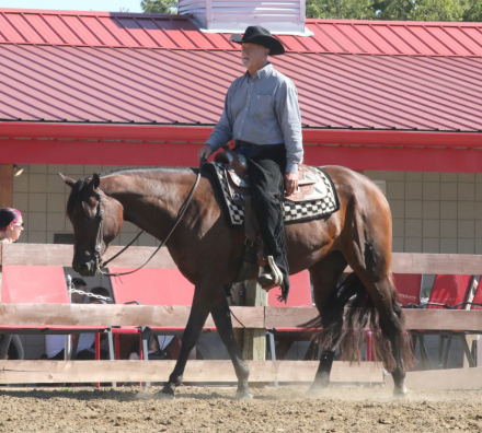 HorseID: 2318927 A High Investment - PhotoID: 1106153