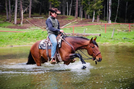 HorseID: 2318959 Theo - PhotoID: 1106191