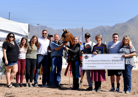 HorseID: 2318966 Wingates Legend - PhotoID: 1106200