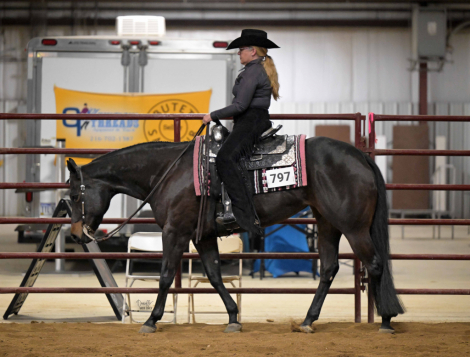 HorseID: 2318996 Batt Your Eyelashes - PhotoID: 1106740
