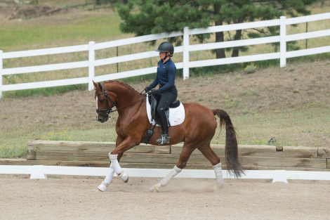 HorseID: 2319083 Balvenie PWD - PhotoID: 1106350