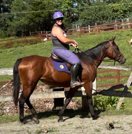 HorseID: 2319143 Sabrina - PhotoID: 1106417