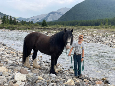 HorseID: 2319172 GHHH L.V'S AQUILO OF SPIRIT - PhotoID: 1106454