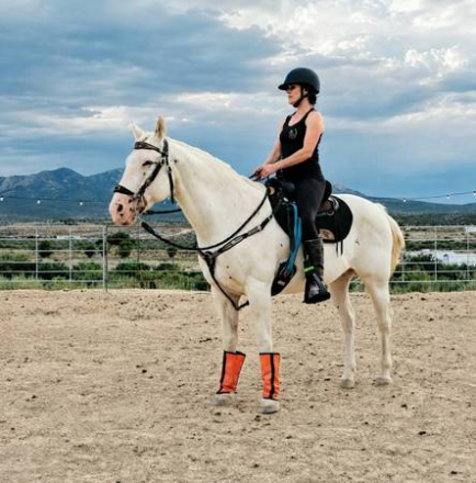 HorseID: 2319201 Hawk - PhotoID: 1106498