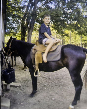 HorseID: 2319236 Dolly - PhotoID: 1106502