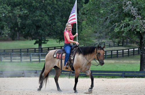 HorseID: 2319285 MG DAS QUINCYSBADGER - PhotoID: 1106551