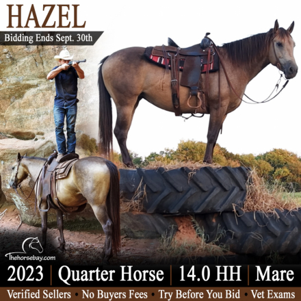 HorseID: 2319328 Hazel - PhotoID: 1106584