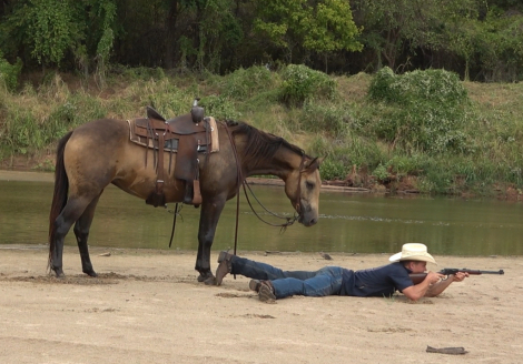 HorseID: 2319328 Hazel - PhotoID: 1106585