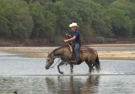 HorseID: 2319328 Hazel - PhotoID: 1106586