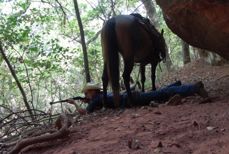 HorseID: 2319328 Hazel - PhotoID: 1106587