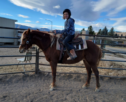 HorseID: 2319344 Maggie - PhotoID: 1106611