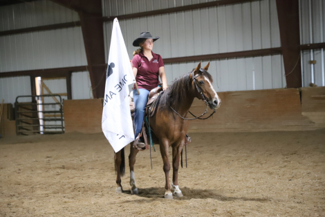 HorseID: 2319360 Lenas High On Pepto - PhotoID: 1106638