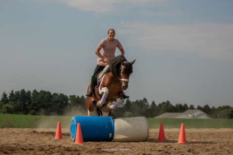 HorseID: 2319385 T Lady Carlie - PhotoID: 1106662