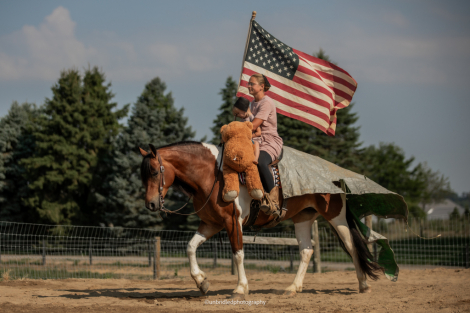 HorseID: 2319385 T Lady Carlie - PhotoID: 1106663