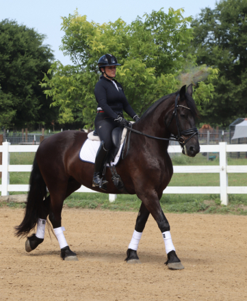 HorseID: 2319401 Dream-Key - PhotoID: 1106682