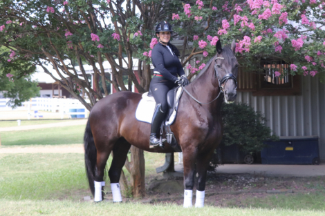 HorseID: 2319401 Dream-Key - PhotoID: 1106684