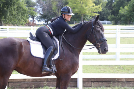 HorseID: 2319401 Dream-Key - PhotoID: 1106685