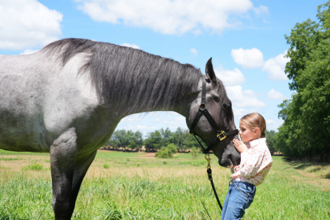 HorseID: 2319478 DMF Rooster He Is A Hoss - PhotoID: 1106753