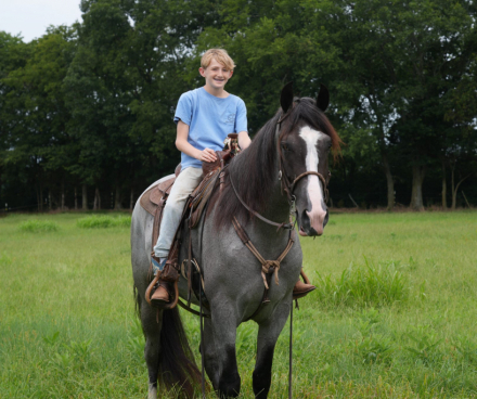 HorseID: 2319478 DMF Rooster He Is A Hoss - PhotoID: 1106755