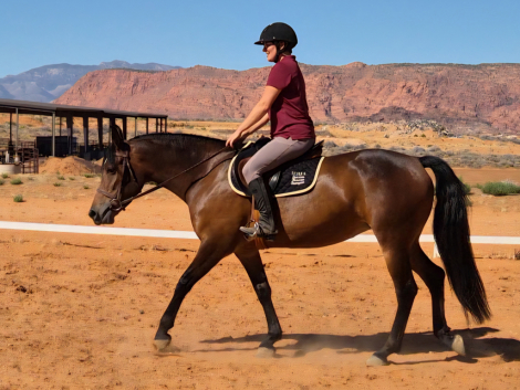 HorseID: 2319482 Yahzarah - PhotoID: 1106776