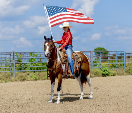 HorseID: 2319496 Rio - PhotoID: 1106771
