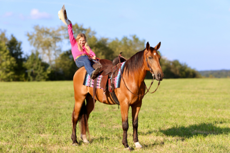 HorseID: 2319573 Rambler - PhotoID: 1106873
