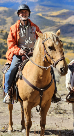 HorseID: 2319602 Riddles And Gold - PhotoID: 1106932