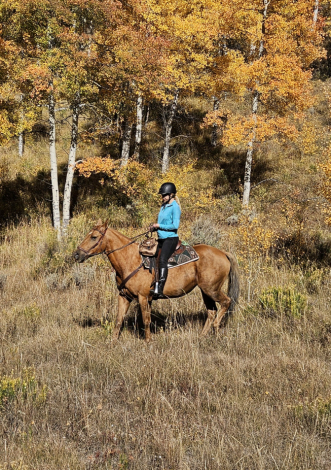 HorseID: 2319602 Riddles And Gold - PhotoID: 1106936