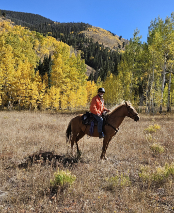 HorseID: 2319602 Riddles And Gold - PhotoID: 1106937