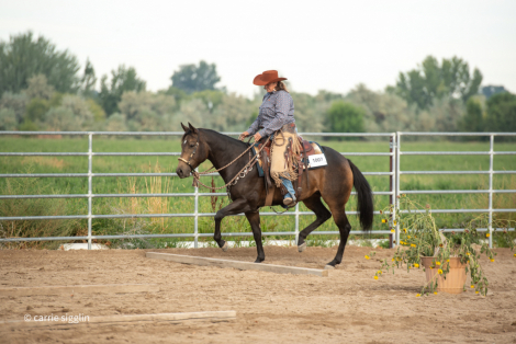 HorseID: 2319611 Zips Secret Recipe - PhotoID: 1106958