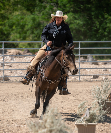HorseID: 2319611 Zips Secret Recipe - PhotoID: 1106959