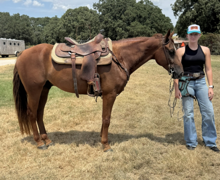 HorseID: 2319636 Wish's Powder Keg - PhotoID: 1107009