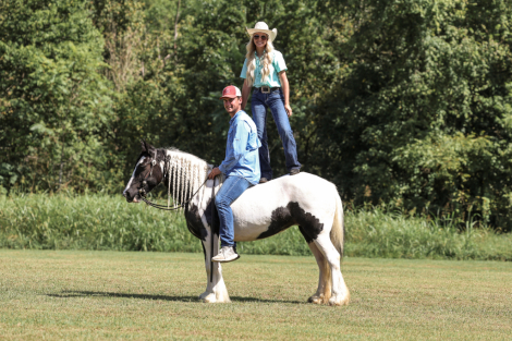 HorseID: 2319656 Nuala Rose - PhotoID: 1107044