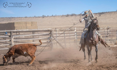 HorseID: 2319677 Reba - PhotoID: 1107073