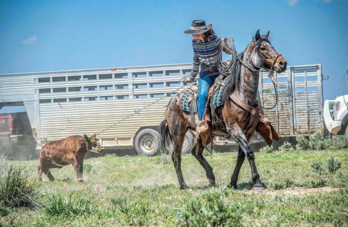 HorseID: 2319677 Reba - PhotoID: 1107074