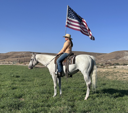 HorseID: 2319691 Swing State - PhotoID: 1107081