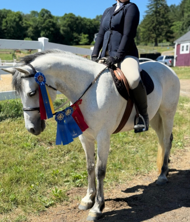 HorseID: 2319707 Big Bears Hosanna - PhotoID: 1107099