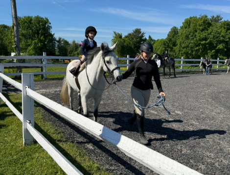 HorseID: 2319707 Big Bears Hosanna - PhotoID: 1107101