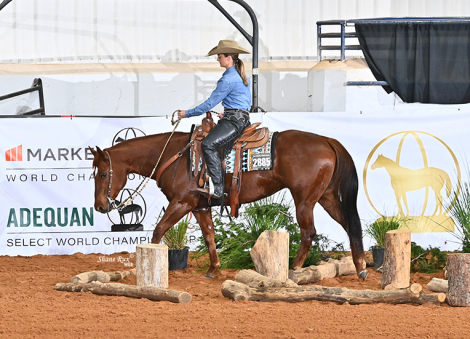 HorseID: 2319708 Spanish Footwork - PhotoID: 1107107